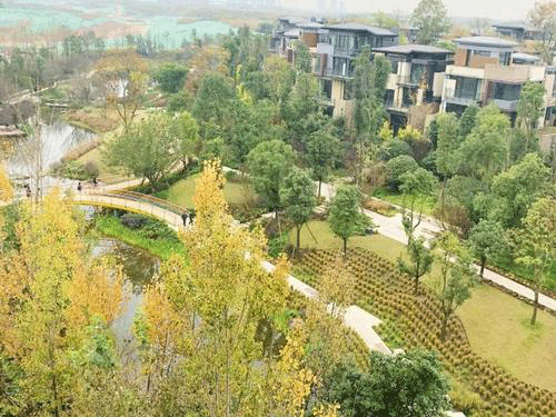 图文无关，请勿对号入座