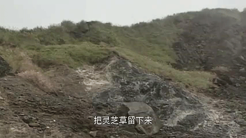 图文无关，请勿对号入座