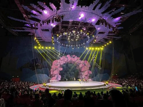 图文无关，请勿对号入座